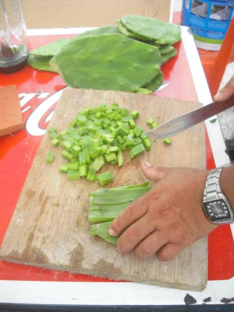 Nopal