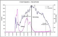 CO and Temperature Charcoal Rocket
