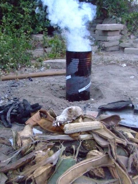 Charcoal for Biochar -   DSCF0421s