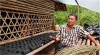 David Sawwah, Northwst Thailand
