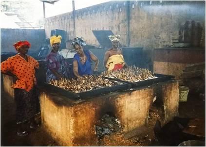 Chorkor oven being used for bonga at Bonfi (Conakry, Guinea)