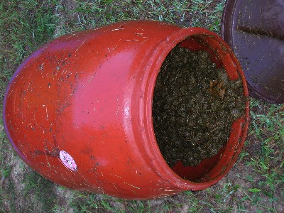 Dung 8