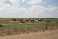 Darfur Sixbricks 1