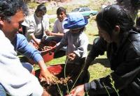 Cusco -1