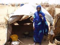 Darfur Sixbricks 4