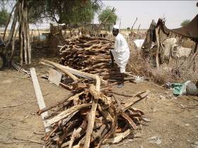 Darfur Sixbricks 10
