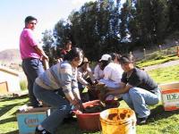 Cusco 2