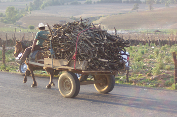 Transportando leña en Michoacán
