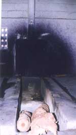 Natural Draft Gasifier Fuel Feed
