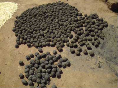 Charcoal Balls